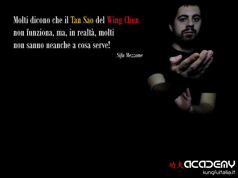 Kung Fu Academy Caserta di Sifu Salvatore Mezzone Accademia di Wing Chun e Tai Chi Quan (1)